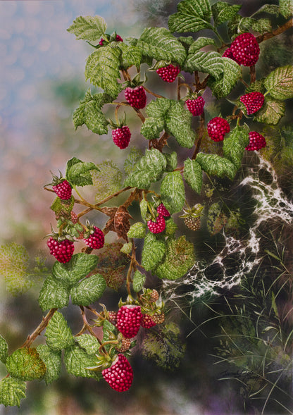 Raspberries